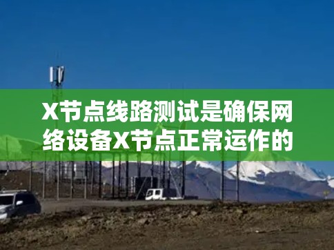 X节点线路测试是确保网络设备X节点正常运作的重要过程。以下是详细的测试步骤
