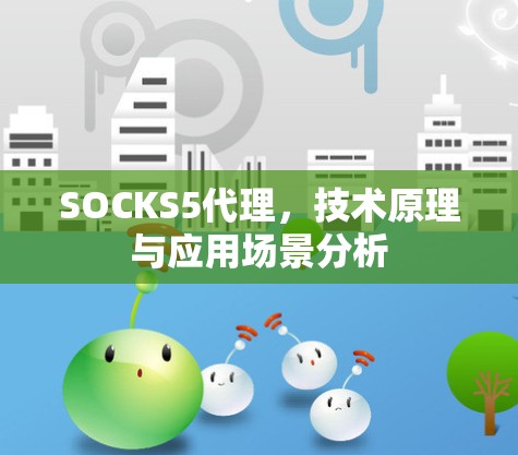 SOCKS5代理，技术原理与应用场景分析