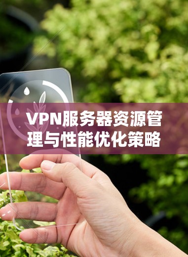 VPN服务器资源管理与性能优化策略