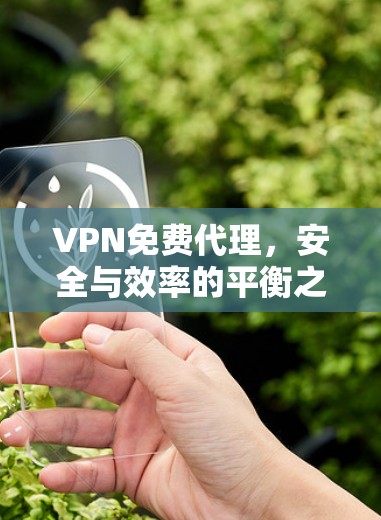 VPN免费代理，安全与效率的平衡之道