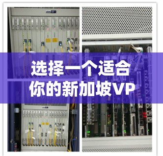 选择一个适合你的新加坡VPN服务器需要综合考虑以下几个方面