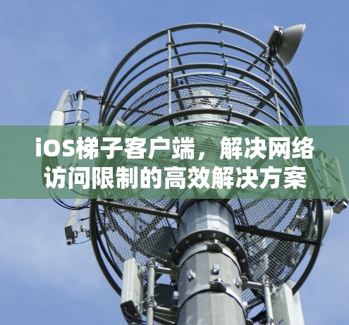 iOS梯子客户端，解决网络访问限制的高效解决方案