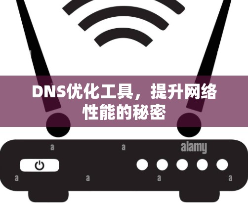 DNS优化工具，提升网络性能的秘密