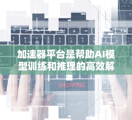 加速器平台是帮助AI模型训练和推理的高效解决方案，提供了多种功能和支持，以满足不同用户需求。以下是加速器平台支持的主要方面