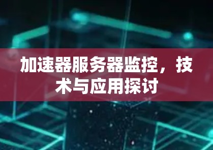 加速器服务器监控，技术与应用探讨