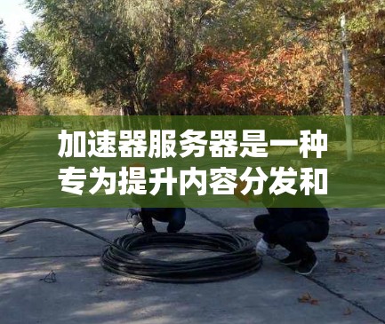 加速器服务器是一种专为提升内容分发和应用性能设计的高性能服务器，旨在优化资源利用率并提高吞吐量。以下是对加速器服务器性能的详细分析