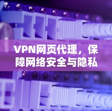 VPN网页代理，保障网络安全与隐私的关键技术