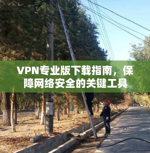 VPN专业版下载指南，保障网络安全的关键工具