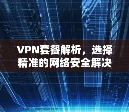 VPN套餐解析，选择精准的网络安全解决方案