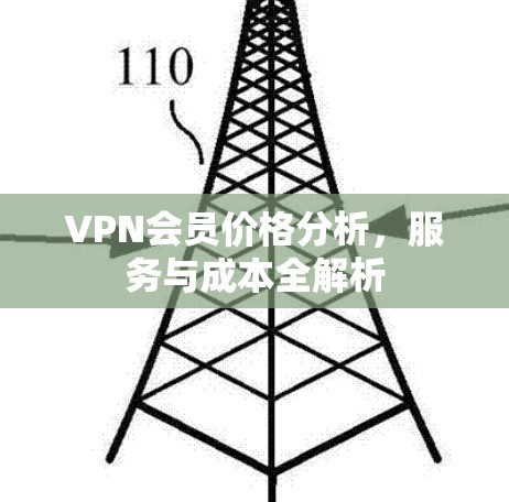 VPN会员价格分析，服务与成本全解析