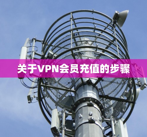 关于VPN会员充值的步骤