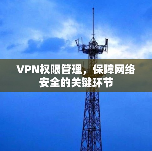 VPN权限管理，保障网络安全的关键环节