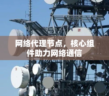 网络代理节点，核心组件助力网络通信