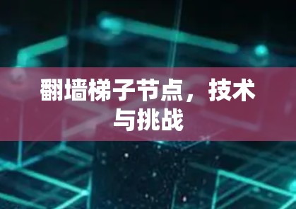 翻墙梯子节点，技术与挑战