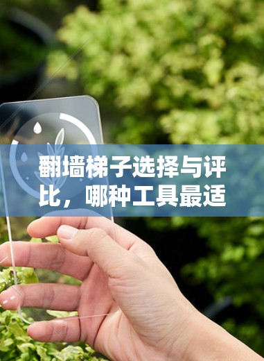 翻墙梯子选择与评比，哪种工具最适合你？
