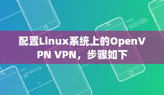 配置Linux系统上的OpenVPN VPN，步骤如下