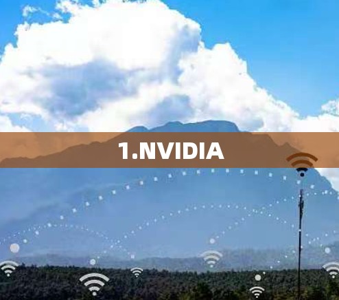 1.NVIDIA