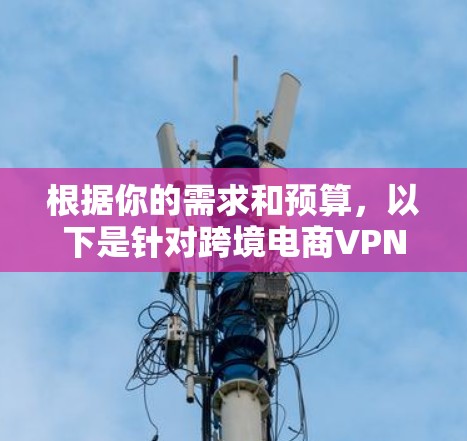 根据你的需求和预算，以下是针对跨境电商VPN的推荐