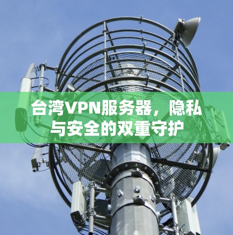 台湾VPN服务器，隐私与安全的双重守护