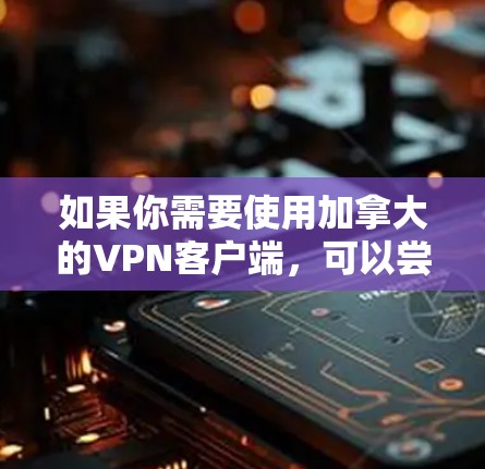 如果你需要使用加拿大的VPN客户端，可以尝试以下几种知名的VPN服务，它们都提供高质量的加密服务，适合个人和企业用户