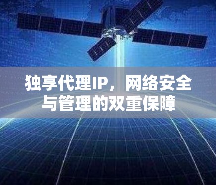 独享代理IP，网络安全与管理的双重保障