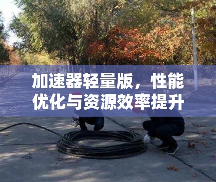 加速器轻量版，性能优化与资源效率提升