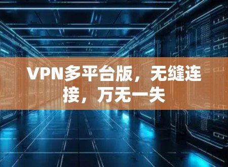 VPN多平台版，无缝连接，万无一失