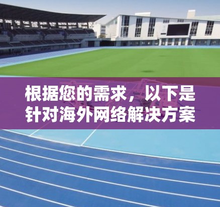根据您的需求，以下是针对海外网络解决方案的详细分析和建议