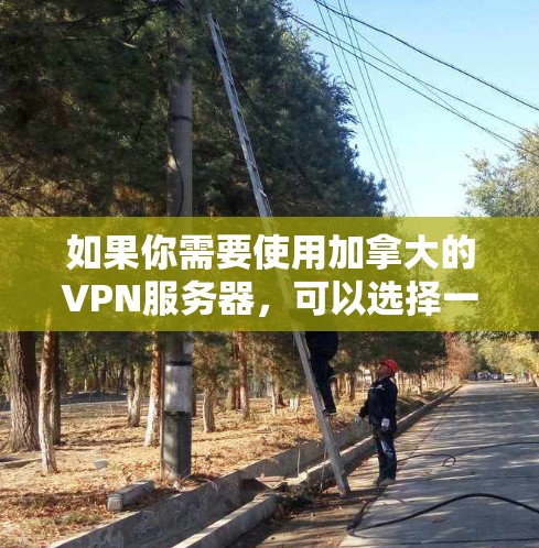 如果你需要使用加拿大的VPN服务器，可以选择一些提供加拿大服务器的VPN服务。以下是一些常见的VPN服务提供商，他们通常提供加拿大地区的服务器