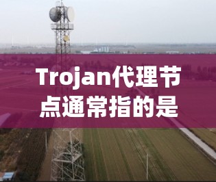 Trojan代理节点通常指的是通过P2P（点对点）网络或其他匿名化通信协议建立的代理服务器，用于匿名化网络流量，保护用户隐私。这种技术常用于防止监控，保护网络安全，或者匿名上网