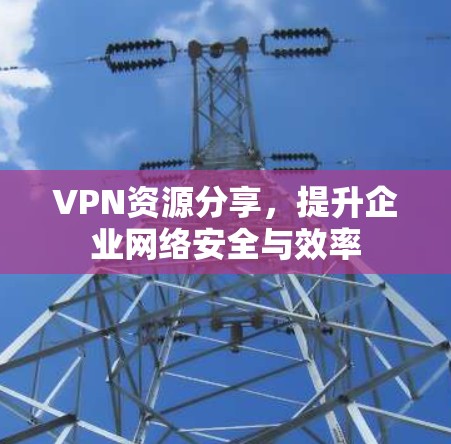 VPN资源分享，提升企业网络安全与效率