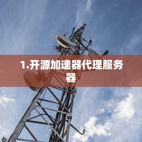 1.开源加速器代理服务器