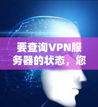 要查询VPN服务器的状态，您可以使用以下几种方法