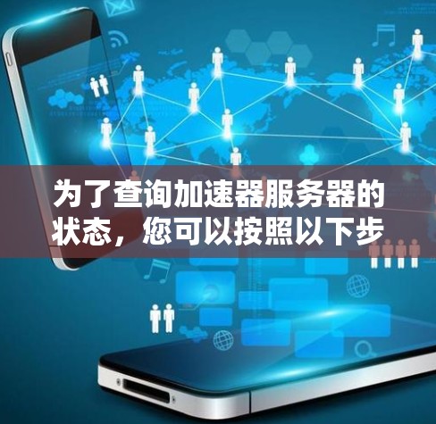 为了查询加速器服务器的状态，您可以按照以下步骤操作