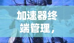 加速器终端管理，提升通信系统性能的关键