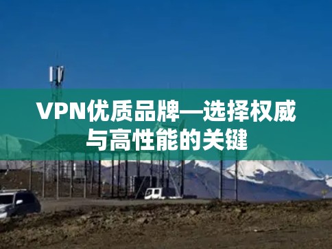 VPN优质品牌—选择权威与高性能的关键