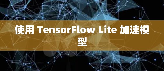 使用 TensorFlow Lite 加速模型