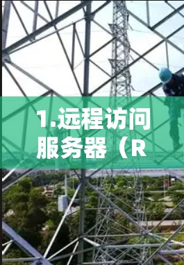 1.远程访问服务器（Remote Access Server，RAS）