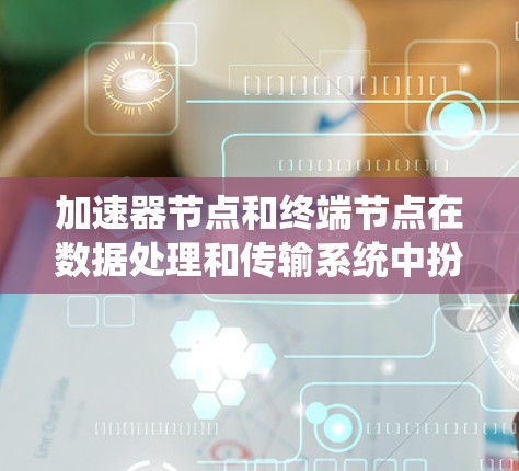 加速器节点和终端节点在数据处理和传输系统中扮演着不同的角色，它们的区别主要体现在数据处理和传输的不同阶段。以下是对加速器节点和终端节点，以及它们内部类型的详细分析