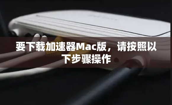 要下载加速器Mac版，请按照以下步骤操作