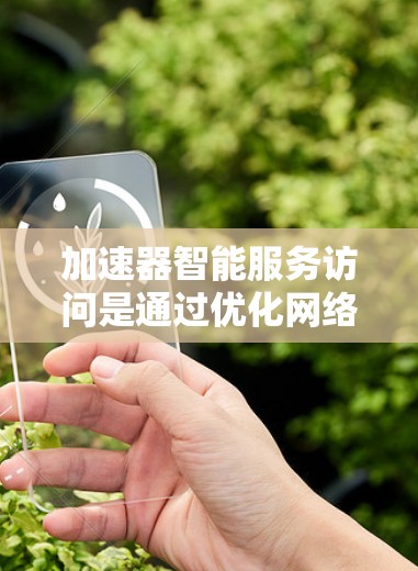 加速器智能服务访问是通过优化网络路径和数据传输，提升智能服务的响应速度和处理效率。以下是对这一概念的详细分析