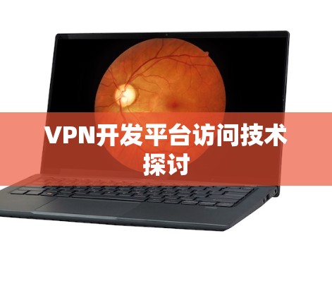 VPN开发平台访问技术探讨