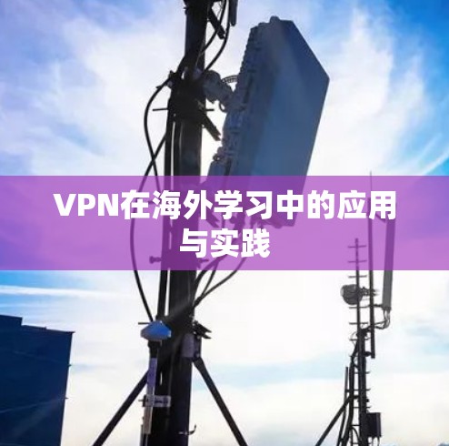 VPN在海外学习中的应用与实践