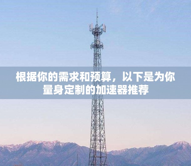 根据你的需求和预算，以下是为你量身定制的加速器推荐