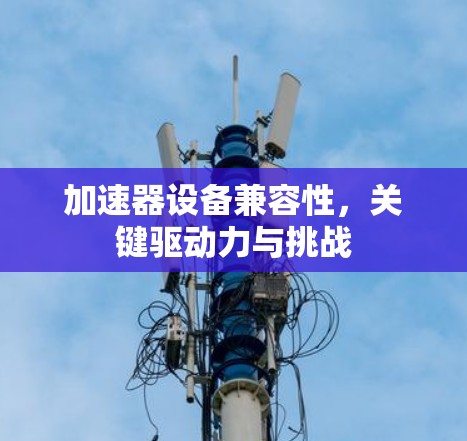 加速器设备兼容性，关键驱动力与挑战
