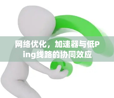 网络优化，加速器与低Ping线路的协同效应