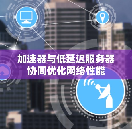 加速器与低延迟服务器协同优化网络性能