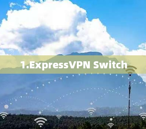 1.ExpressVPN Switch