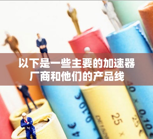 以下是一些主要的加速器厂商和他们的产品线