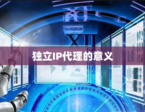 独立IP代理的意义